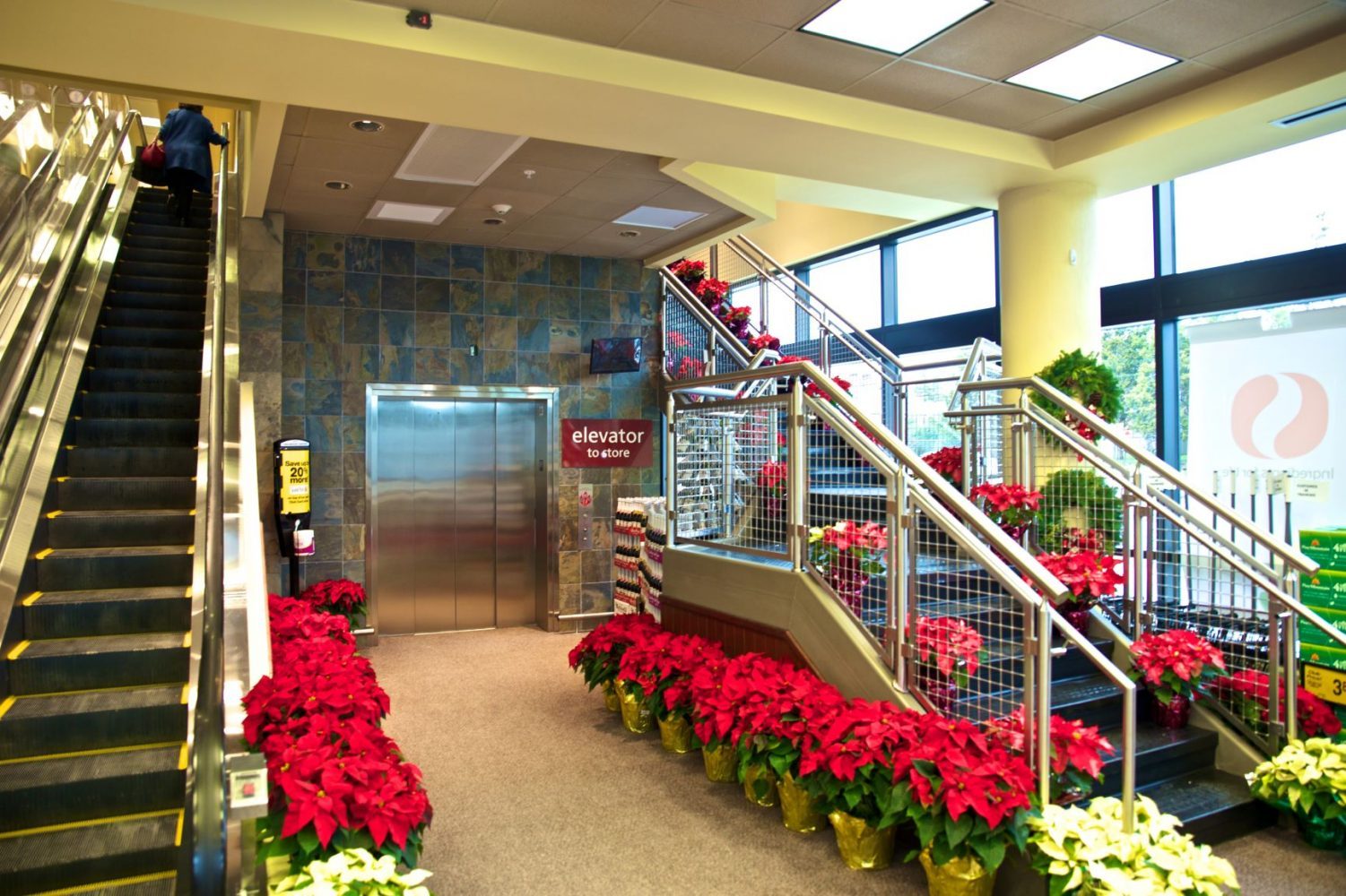 Safeway 3250 King St. Chesapeake Contracting Group